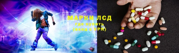 крисы Армянск