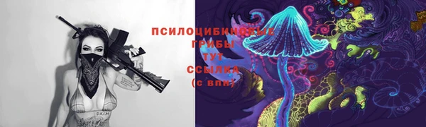 крисы Армянск